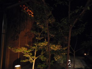 DSCN4668