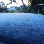 DSCN6639